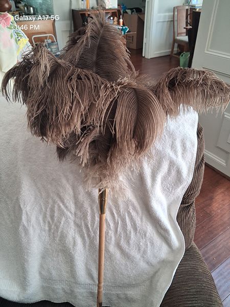 file:///C:/Users/mschi/Downloads/20260317_134623.j